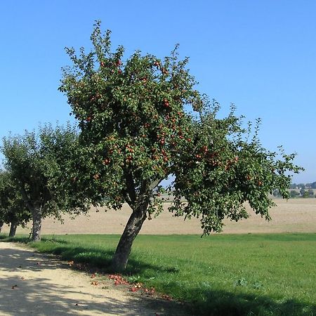 Fewo Muehlehof Konigshain Esterno foto