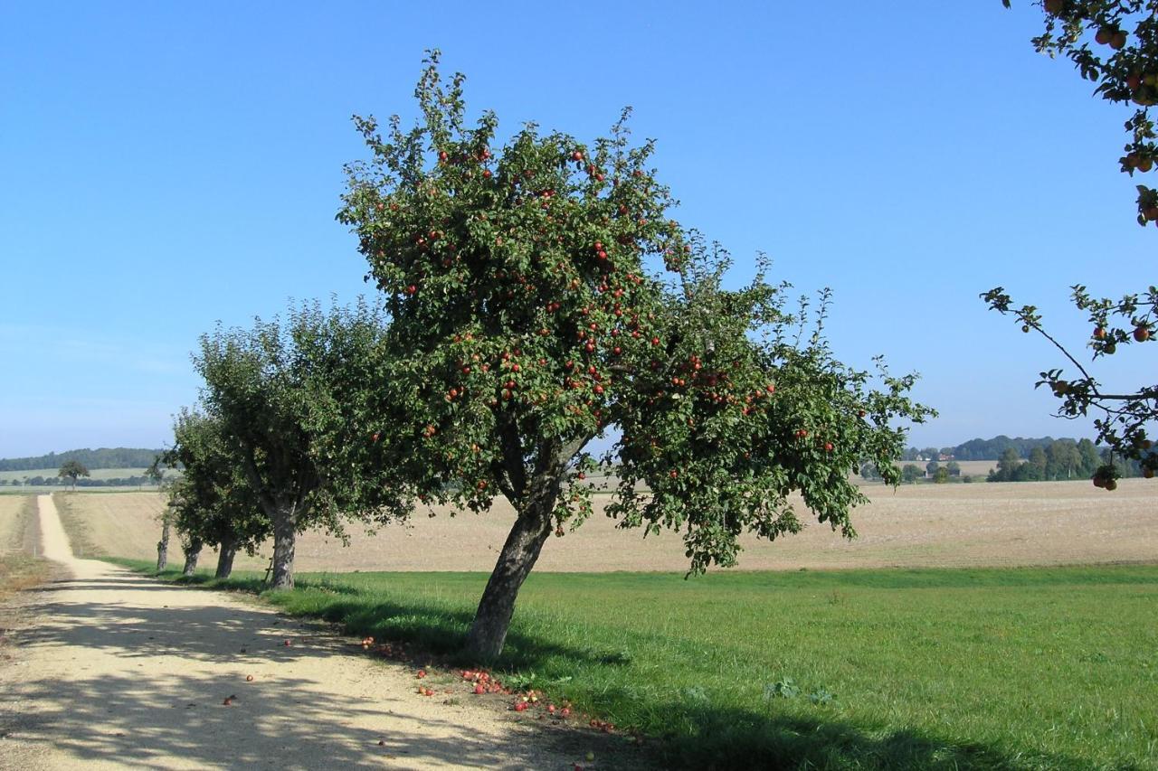 Fewo Muehlehof Konigshain Esterno foto